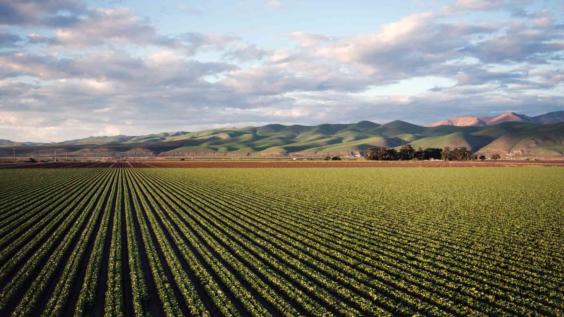 How To Start A Farm Business