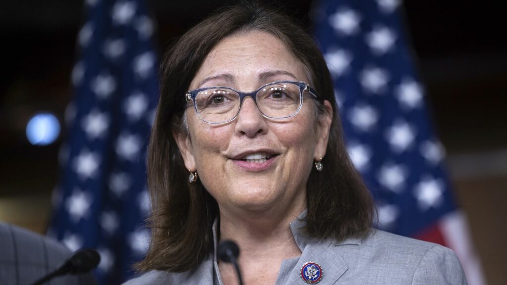 Representative Suzan DelBene speaking at a press conference with American flags in the background.