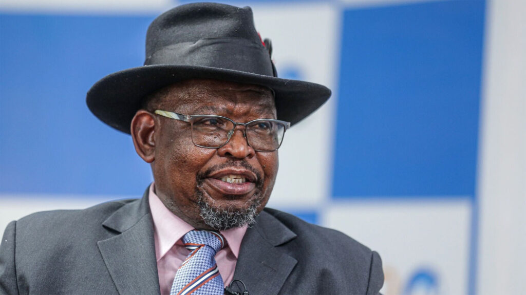 Enoch godongwana the minister of finance for south africa speaking at a press conference while wearing a suit tie and hat