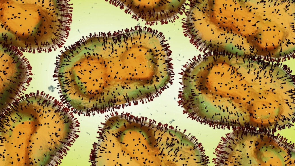 Close up image of the mpox virus under an electron microscope showing its detailed surface structure