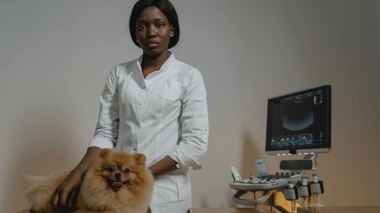 women with pet animal next to a veterinary scanner machine