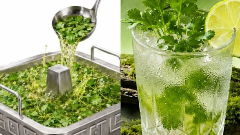 Haidilao Singapore Unveils Limited-Time Coriander Menu Expansion (from news)