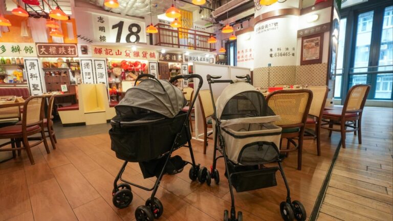 Hong Kong’s Pet-Friendly Dining Initiative Aims to Revitalize Retail and Consumer Spending (from news)