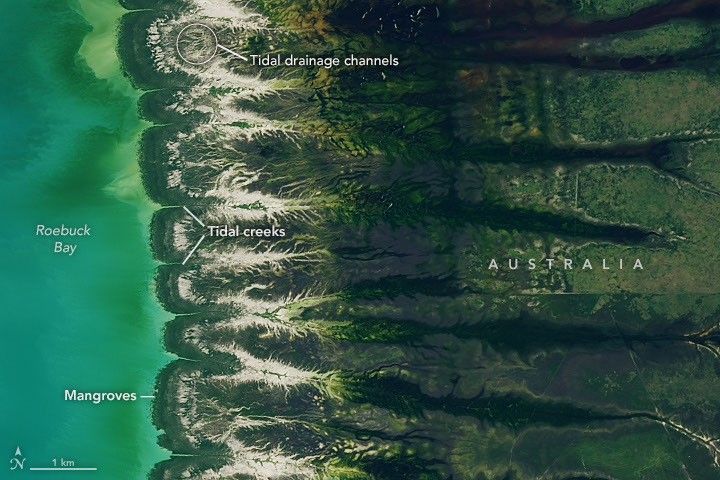 NASA Satellite Data Tracks Nine-Meter Tidal Shifts at Roebuck Bay (from news)